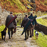 Country Pursuits & Hunting