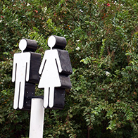 Feminism, Gender Studies, and Sexuality