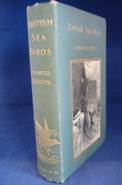 British-Sea-Birds-by-Charles-Dixon-B00HCW2MLE