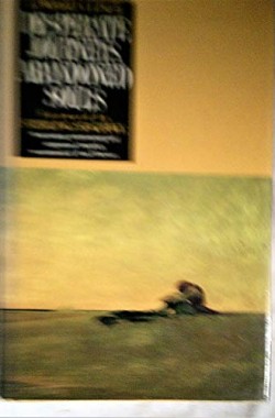 Desperate-Journeys-Abandoned-Souls-True-Stories-of-Castaways-and-Other-Survivors-0333499638